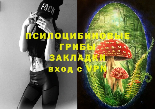 молекула духа Алексеевка
