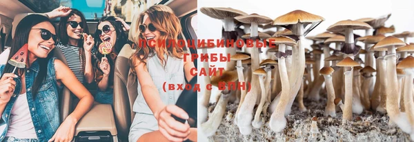 молекула духа Алексеевка