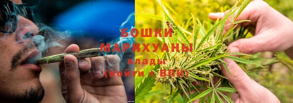 молекула духа Алексеевка